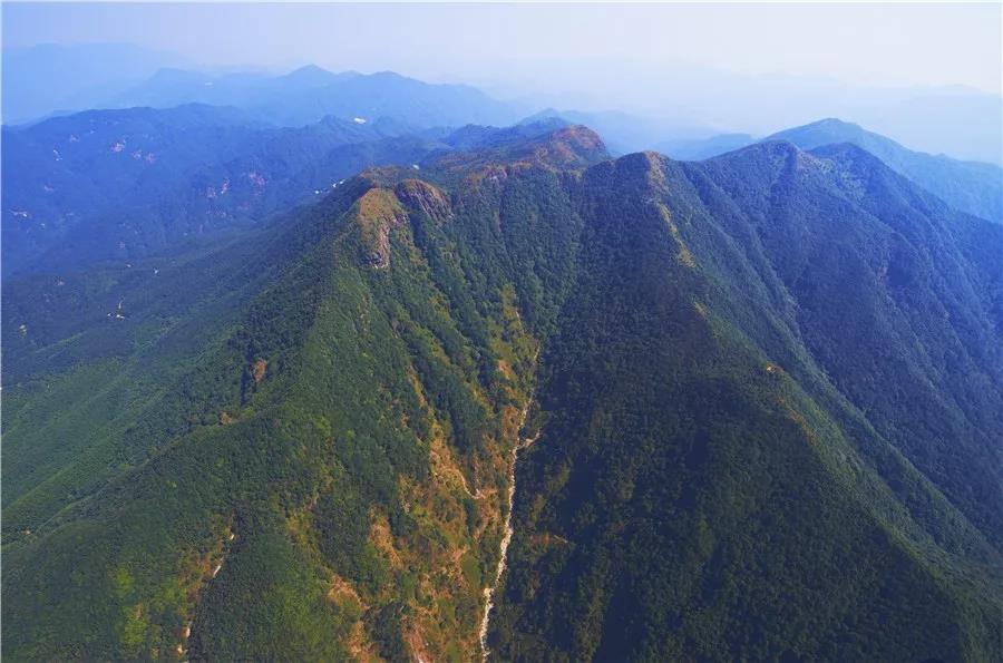 云浮：嚴防森林火災 堅決守護綠水青山