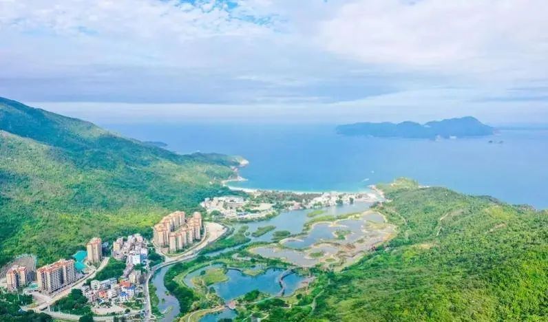 即將對(duì)外開放！深圳大鵬新建一紅樹林濕地公園